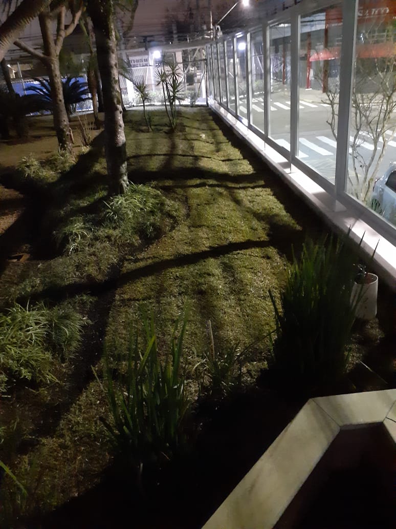 2024/04/03/dabd31c32512f4d7408314a1260ab482.jpeg